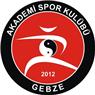 Gebze Akademi Spor Kulübü  - Kocaeli